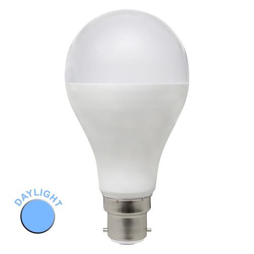 16w LED BC GLS Bulb Daylight