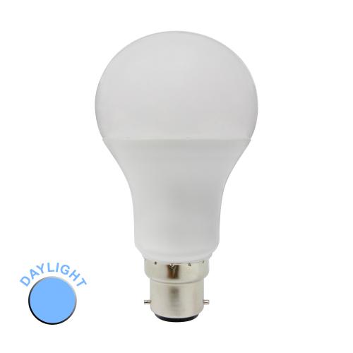 5w LED BC GLS Bulb Daylight