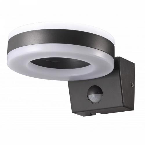 20w LED Up Down Ring Wall Light with PIR