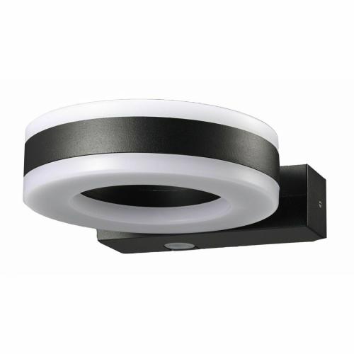 20w LED Up Down Ring Wall Light